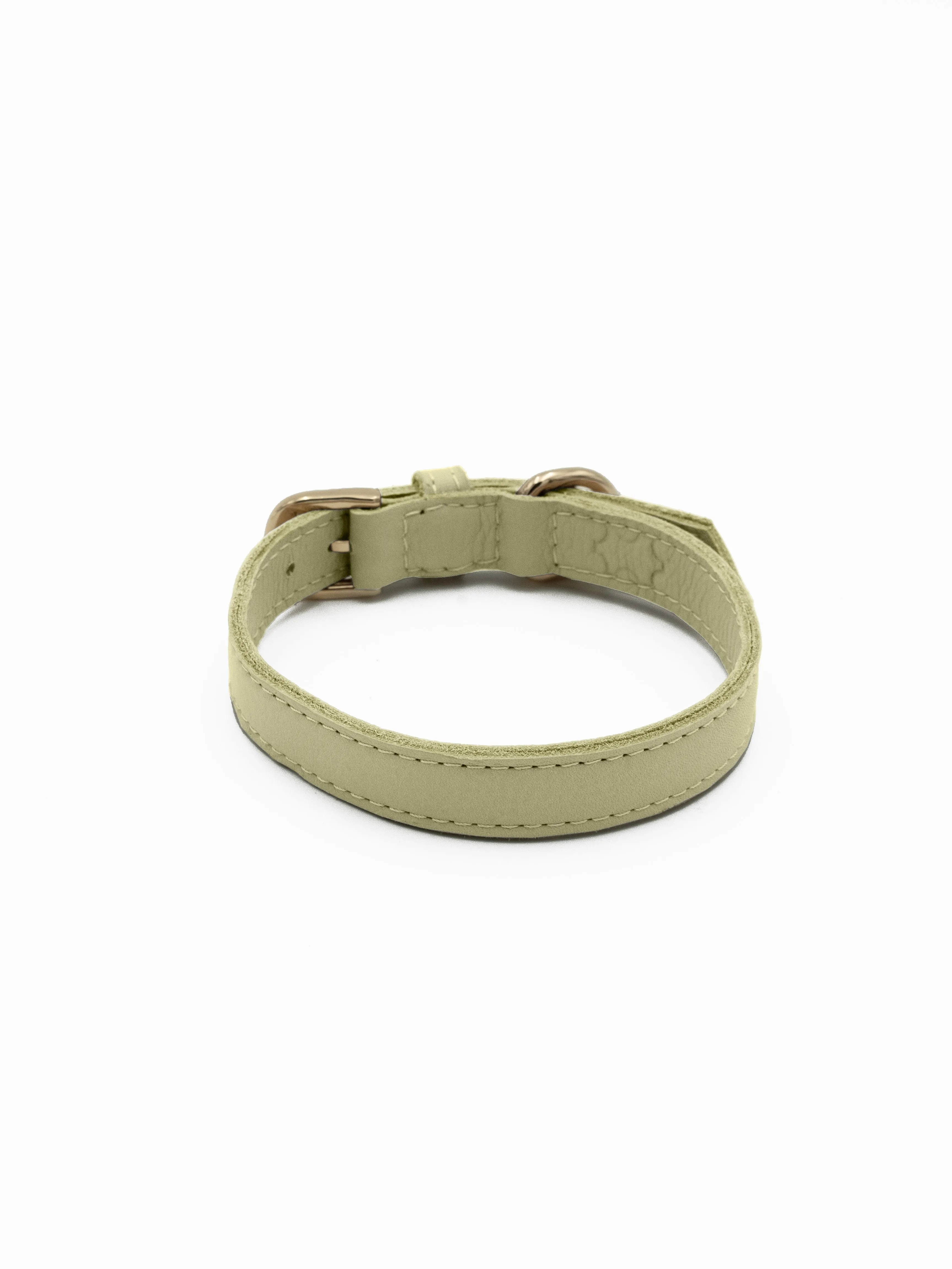 TAG COLLAR