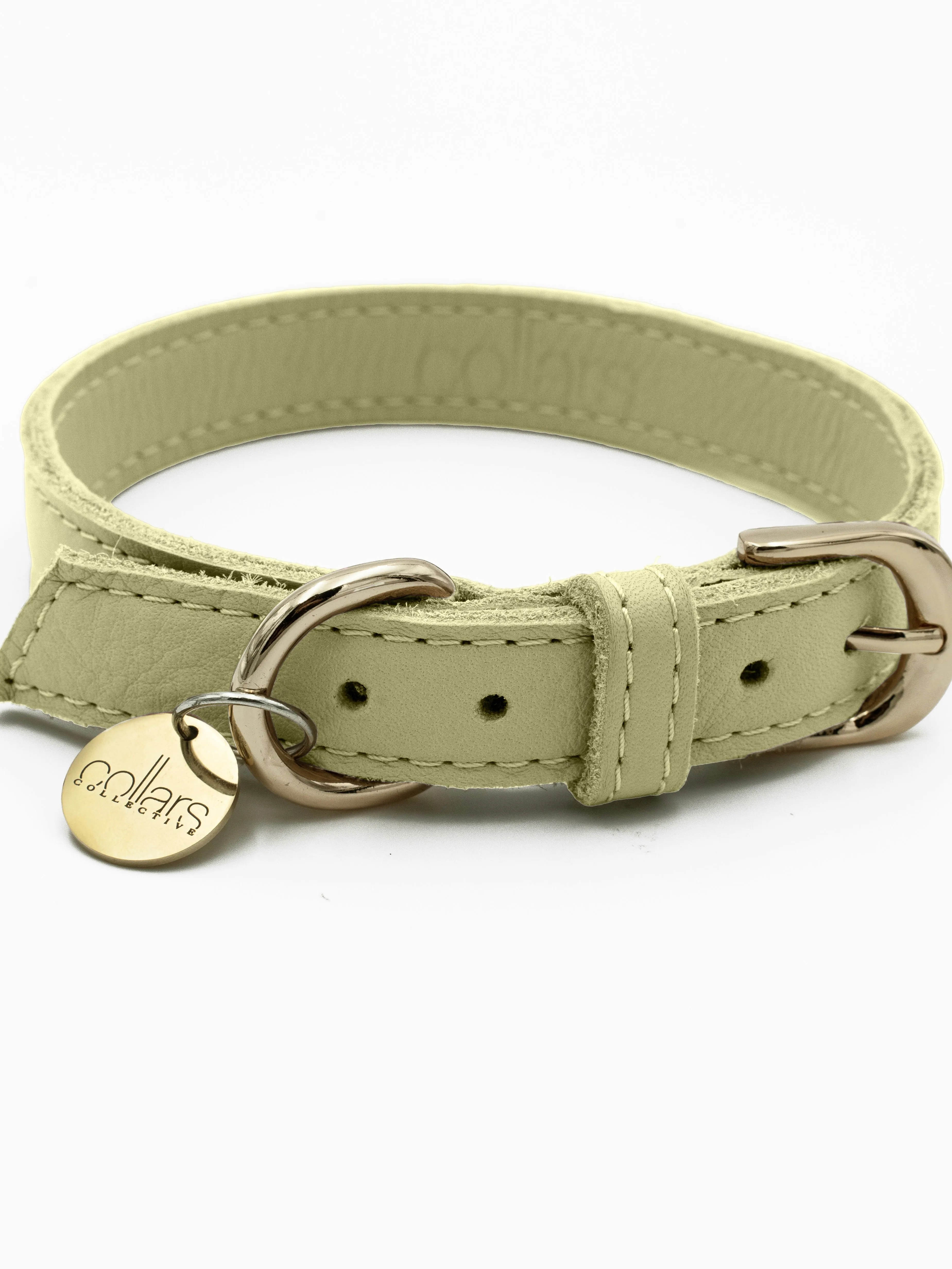 TAG COLLAR
