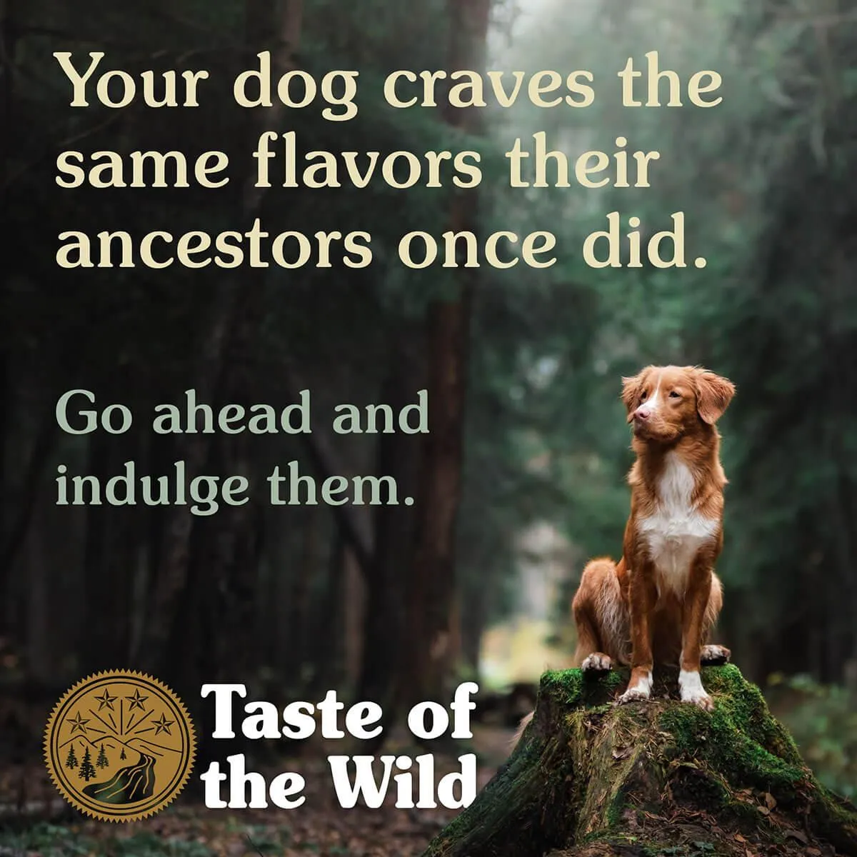 Taste of the Wild Southwest Canyon Wild Boar Dry Dog Food