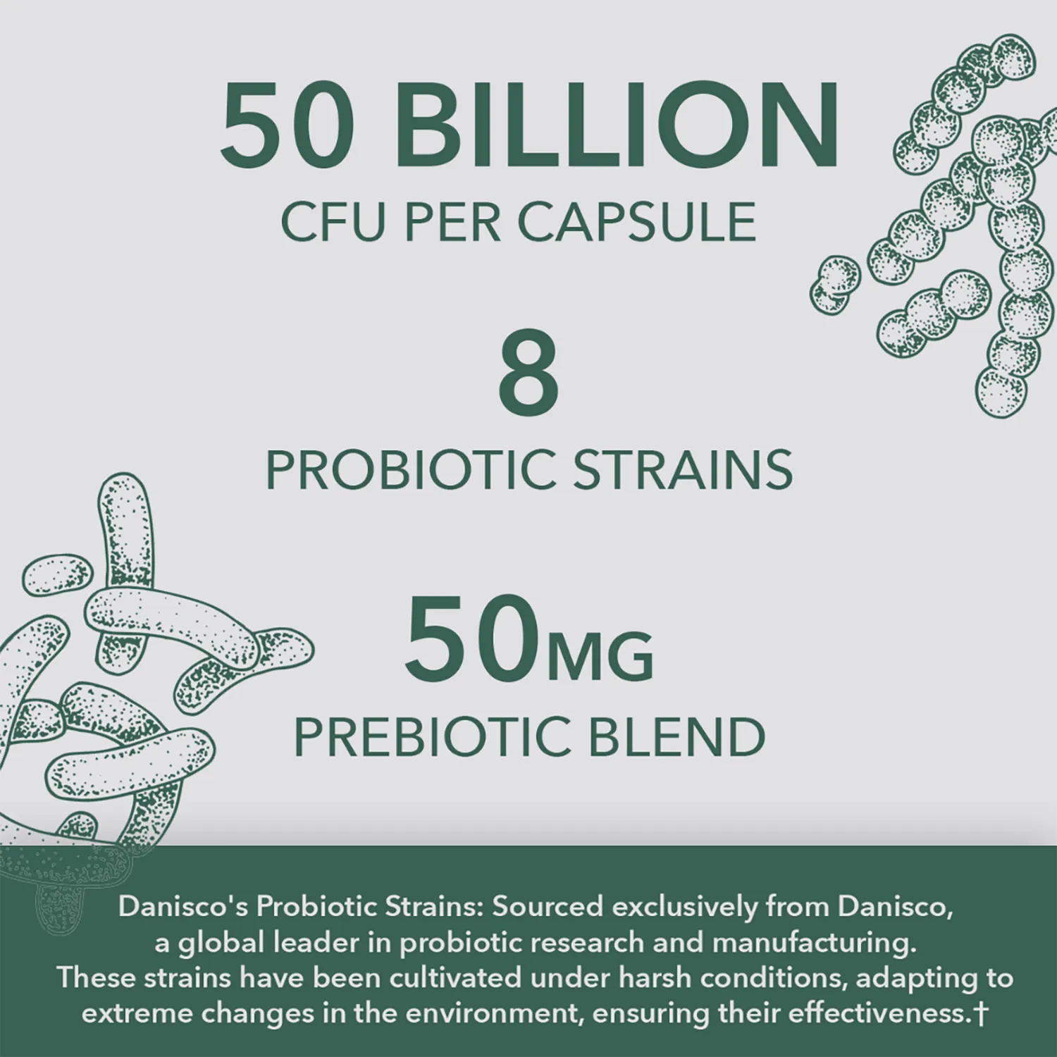 Vegan Womens Probiotic 50 Billion CFU, 8 Strains