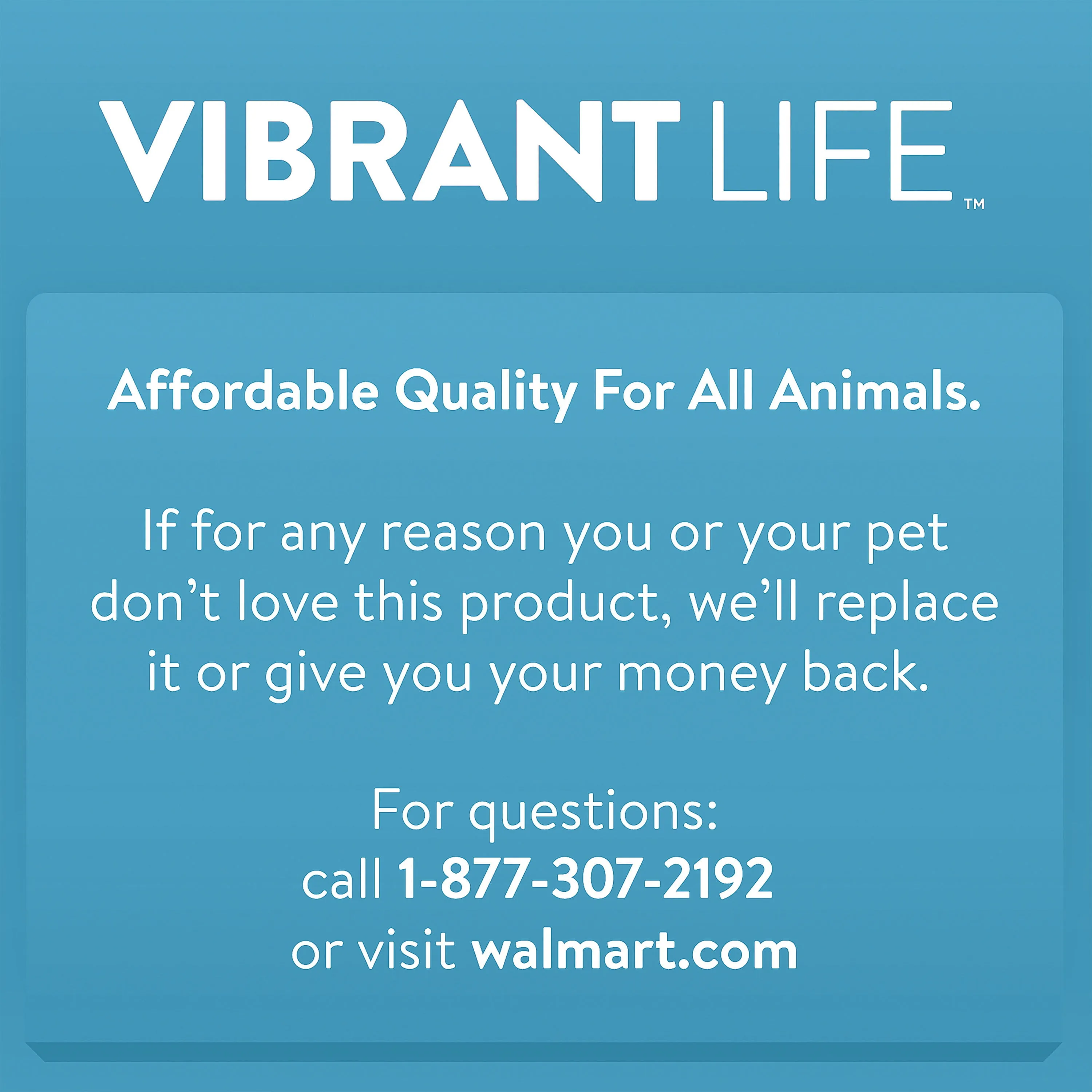 Vibrant Life Playful Buddy Dog Toys,  5 Count