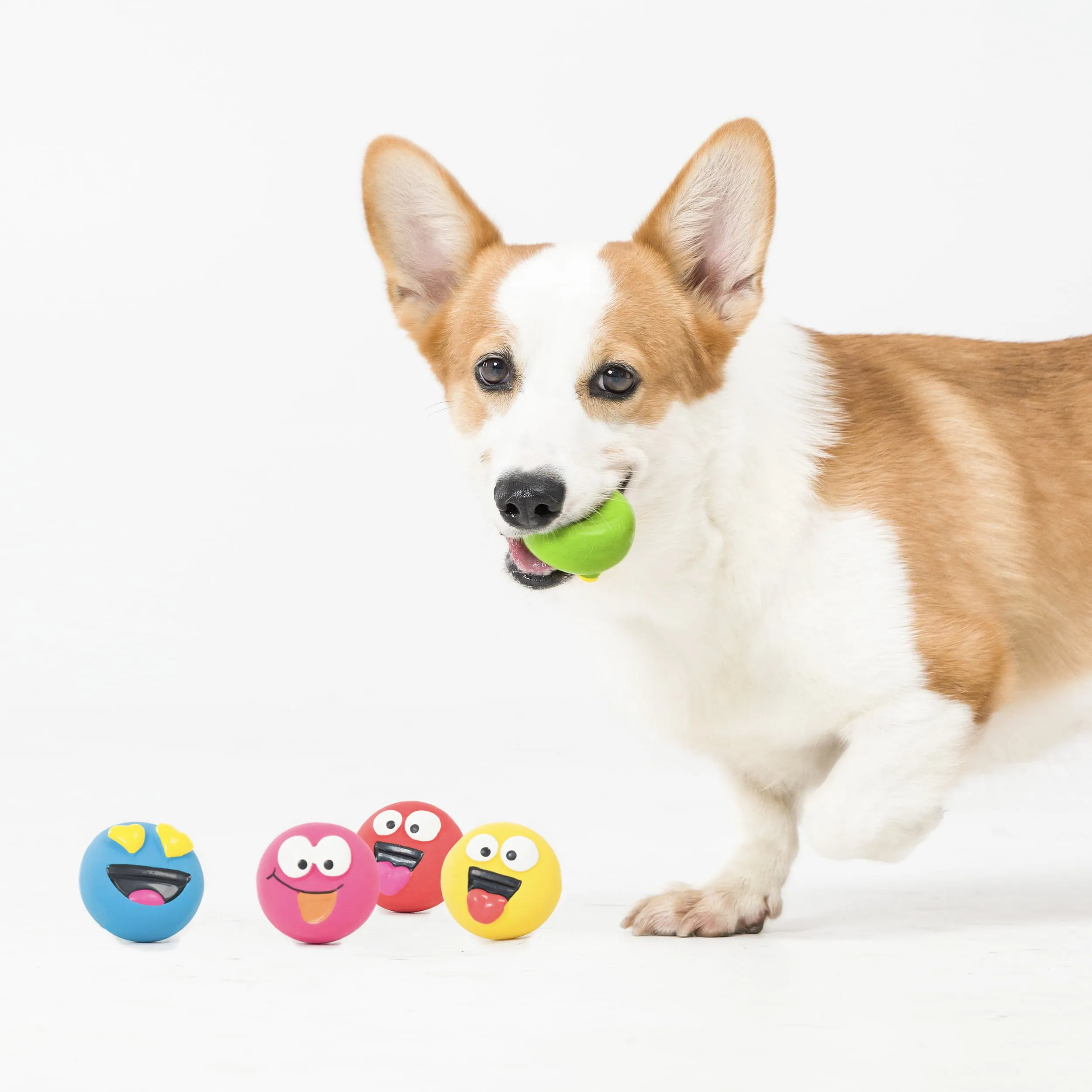 Vibrant Life Playful Buddy Dog Toys,  5 Count