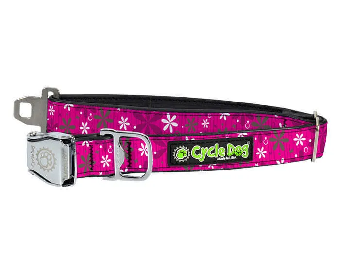 Waterproof No-Stink Collars